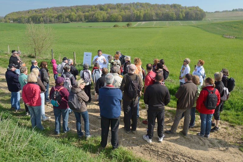 Photo de l'équipe